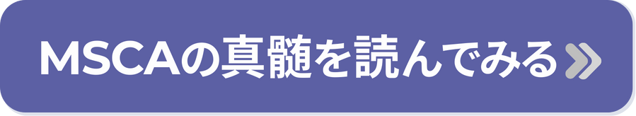 MSCAの真髄を読んでみる